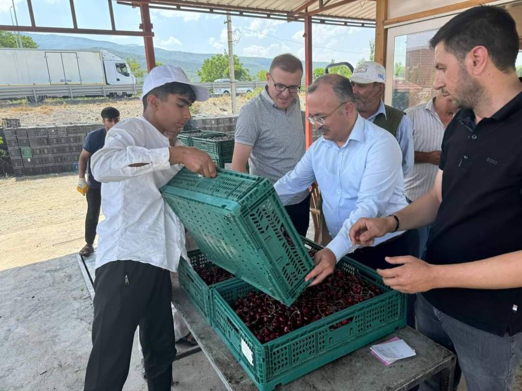 Konya’nın tescilli ürününde hasat başladı 5